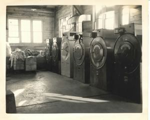 Image: Interior of laundry showing driers
