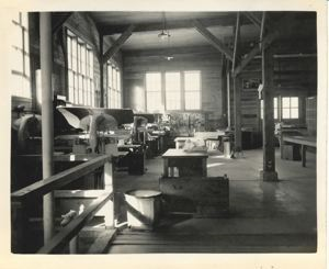 Image of Interior of laundry showing utllity pressers