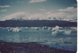 Image: Small icebergs, mountain beyond