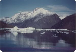 Image of Small icebergs, mountain beyond