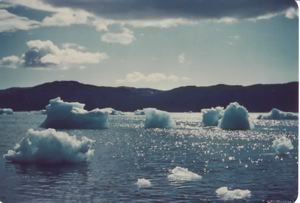 Image: Small icebergs