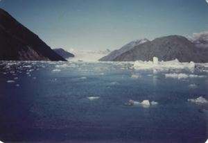 Image: Ice pans, glacier beyond