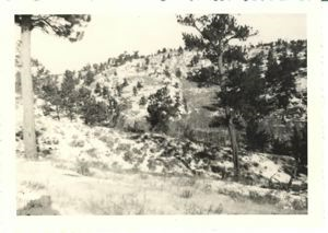 Image: Polk Mountain