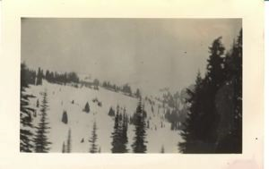 Image: Snow on Polk Mountain
