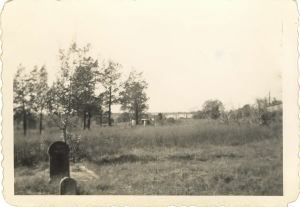 Image of Graves in a field