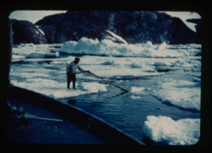 Image of Greenlandic man on floe, probing water with kayak paddle