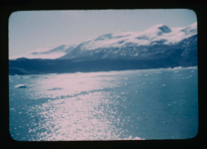 Image: Fjord from water