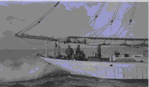 Image of Stern of BOWDOIN under steam, Donald MacMillan at wheel