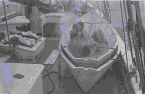 Image: Dory being used as bath tub