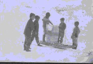 Image of Five Eskimo [Inuit] boys with large barrel on sledge, and pail