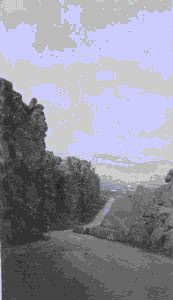 Image of Road in rift at Thingvellir, looking north