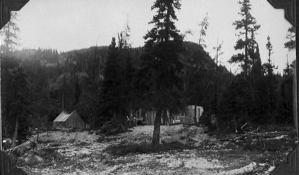 Image: Camp site before construction began