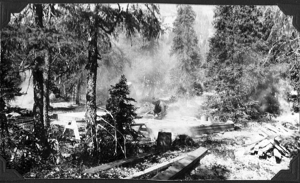 Image of Smudge pots burning at camp site