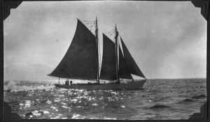Image: The BOWDOIN under sail