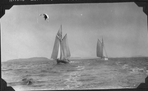 Image: Newfoundland fishing schooner and the BOWDOIN