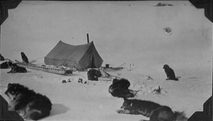 Image of Bert's camp on the caribou hunt (Novio Bertrand)