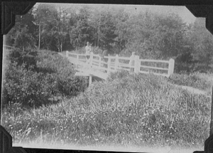 Image of Nurse standing on a bridge. Wildflowers in foreground