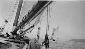 Image of Sailing through Domino Run