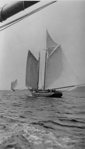 Image of Sailing through Indian Tickle