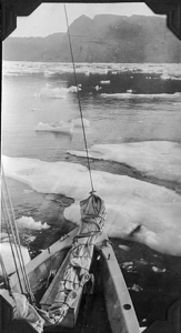 Image of Icefield from the BOWDOIN's bow