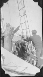Image of Hoisting walrus aboard