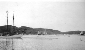 Image of Three fishing schooners and the BOWDOIN