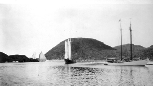 Image of The BOWDOIN and three fishing schooners