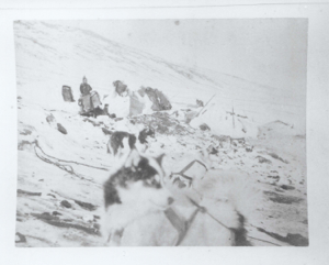 Image of Camp site. Woman by small sledge. Dogs and traces in foreground  