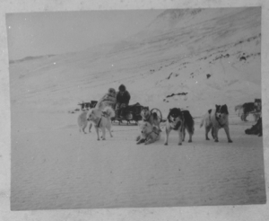 Image of Two men on sledge with odometer. Dogs at rest  