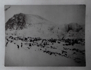 Image of Hurlbut Glacier  