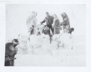 Image of Four men, with dogs, by polar bear furs [?] 