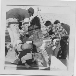 Image: Marcus Sigurjenssen, Emerson Hibbard and Reginald Wilcox hose down a trawl. Mary