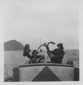 Image of A catch from small boat