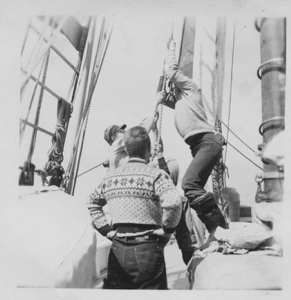 Image of Hauling on the foresail. Doc Hall, Bill Stubbs, Gary Valentine