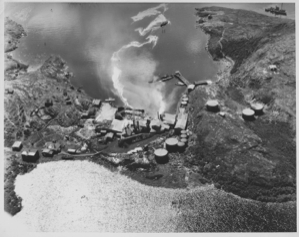 Image: Aerial view of Hawke Harbor and whaling factory
