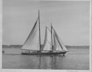 Image: The BLUE DOLPHIN under sail