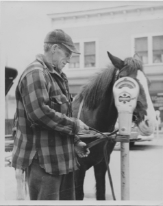 Image of Man tying horse and carriage to parking meter