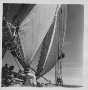 Image: Sails up