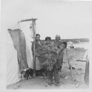 Image of The Montagnais Indians [Innu]. Two Indian [Innu] women and two boys by tent. One boy carries tree