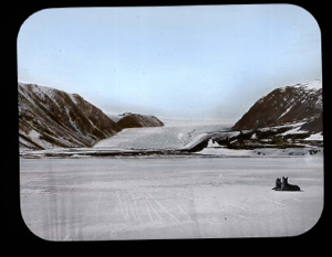 Image of Two dogs resting by Brother John's Glacier