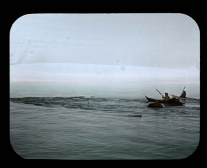 Image of E-took-a-shoo (Ittukusuk) and Noo-car-ping-wa harpooning walrus. Note large  floats