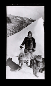 Image of Ekblaw with dogs, by grounded iceberg
