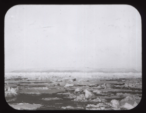 Image of Sea ice