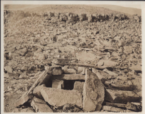 Image of Old fox stone trap