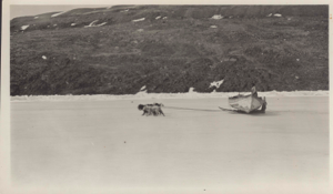 Image of Dogs pulling sledge with whaleboat on it; Inuit in boat