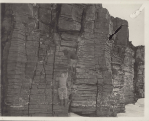Image of Securing guillemot eggs at Cape Kandrick [Inuit climbing bird cliffs]