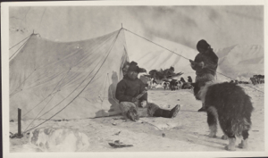 Image of Inuit men by tent. Dogs, sledge; men hold long knives