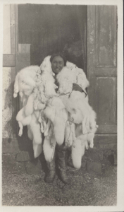 Image of Inuit man carrying many fox skins