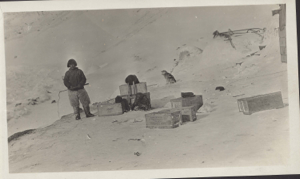 Image of Inuit man with dog whip by many crates. Note walrus head and mittens