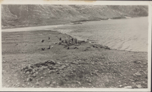 Image of Dogs and men near water. Boat at edge
